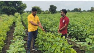 Read more about the article उत्पन्नाचे मार्ग – आर्थिक सुरक्षेचा आधार