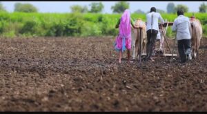 Read more about the article चला रब्बीसाठी सज्ज होऊ…