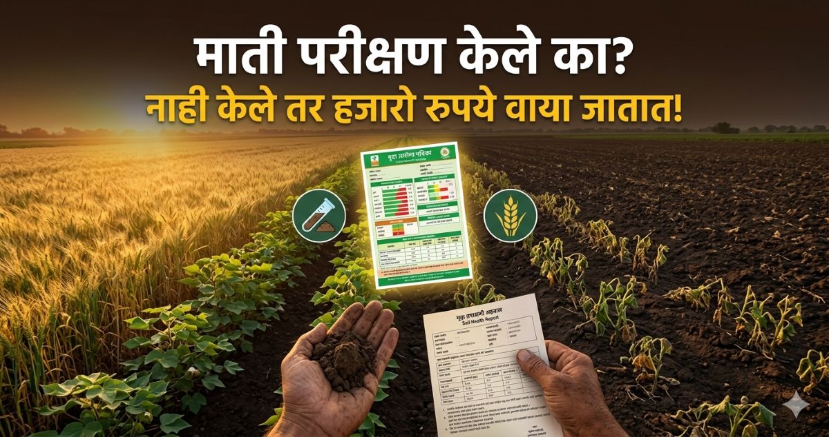 Read more about the article माती परीक्षण न करता खत टाकताय? मग पैसे आणि उत्पादन दोन्ही कमी होणार!